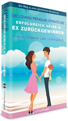 Erfolgreich seine/n Ex zurückgewinnen